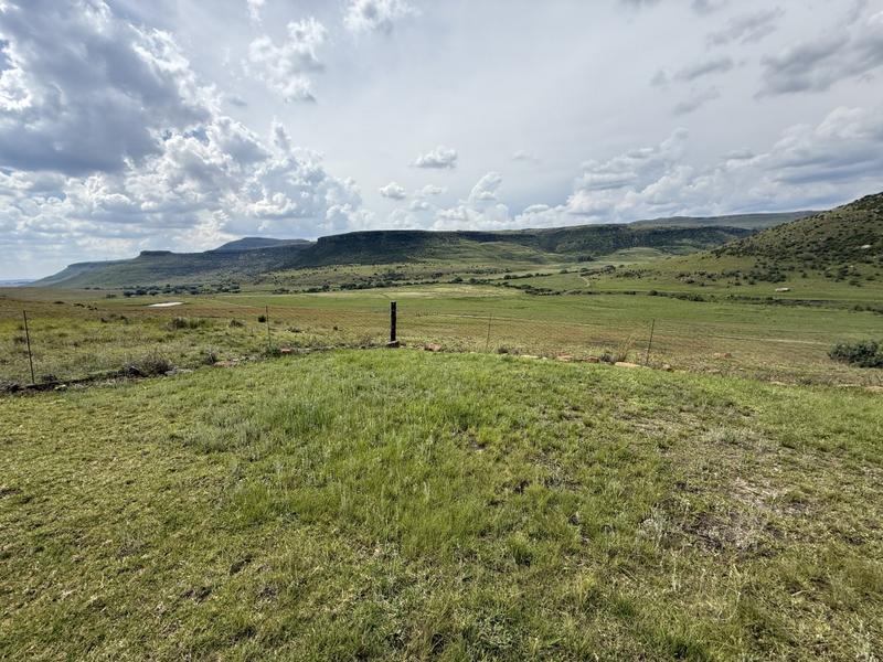 0 Bedroom Property for Sale in Harrismith Free State